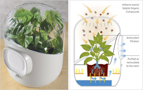 Only Botanical Air Purifier