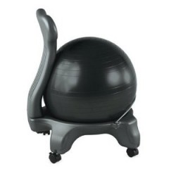 Gaiam Balance Ball Chair