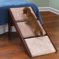 The Pet Ramp And Staircase