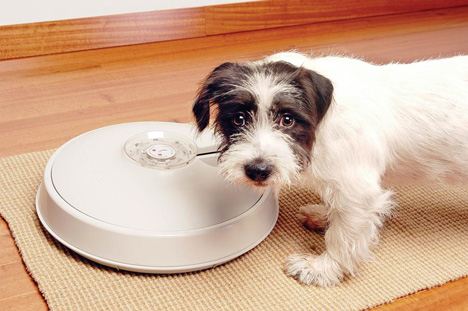 8-Day Autopetfeeder Automatic Pet Feeder