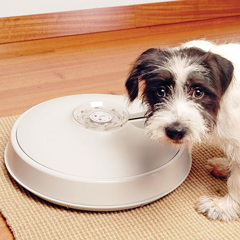 8 Day Autopetfeeder Automatic Pet Feeder