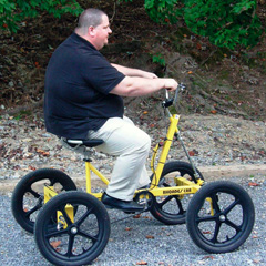 RhoadesCar ComfortRide Bike Car